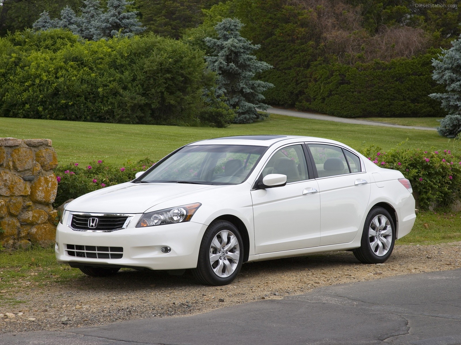 2008 Honda Accord Coupe & Sedan